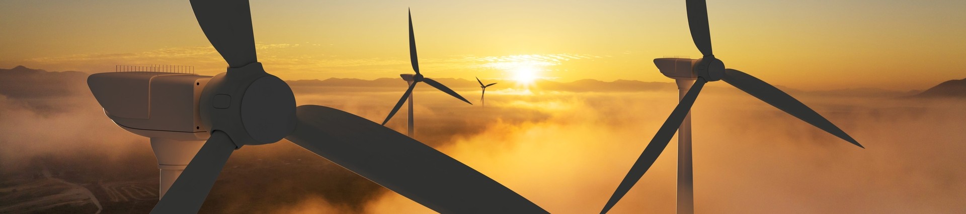 Renewable energy sources: wind power
